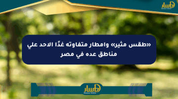 «طقس مثير» وأمطار متفاوتة غدًا الأحد على مناطق عدة في مصر